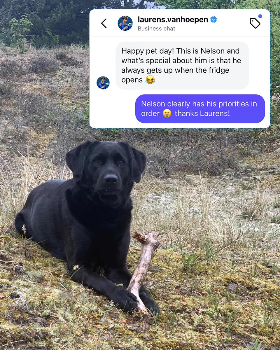 Formula 2 tweet media