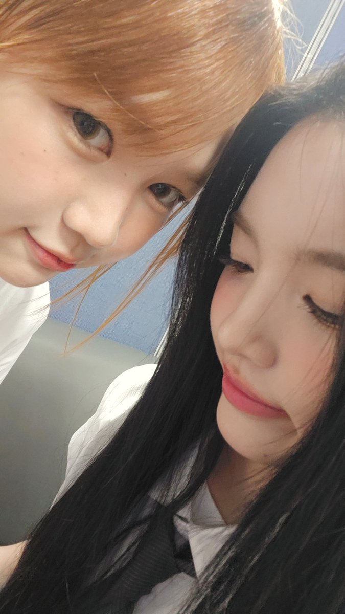 취향의 유하 tweet media