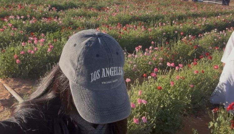 ربيع الشمـال 🌼
