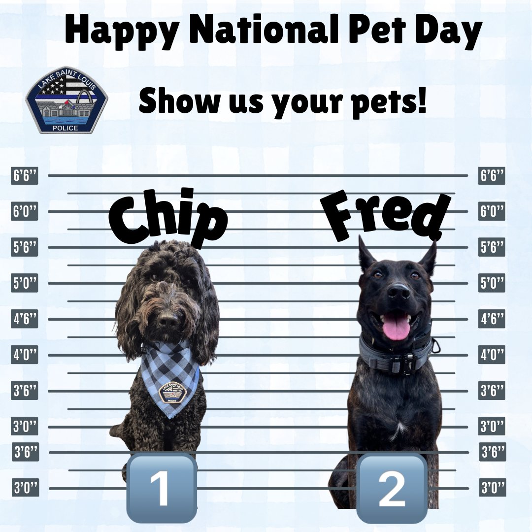 Lake Saint Louis Police tweet media