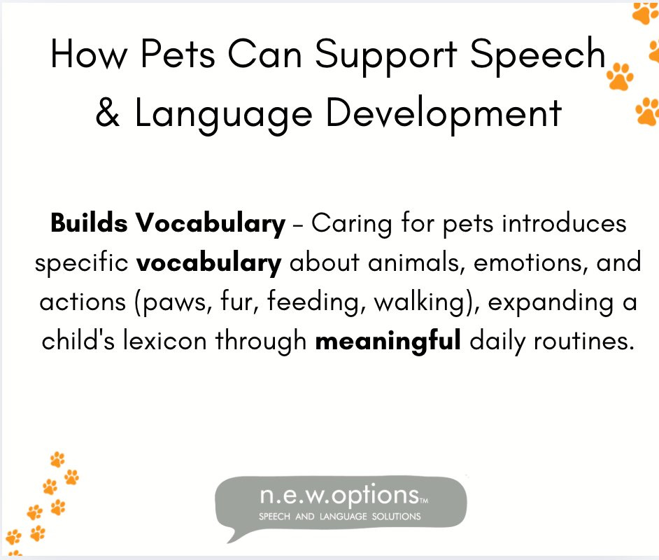 N.E.W. Options tweet media