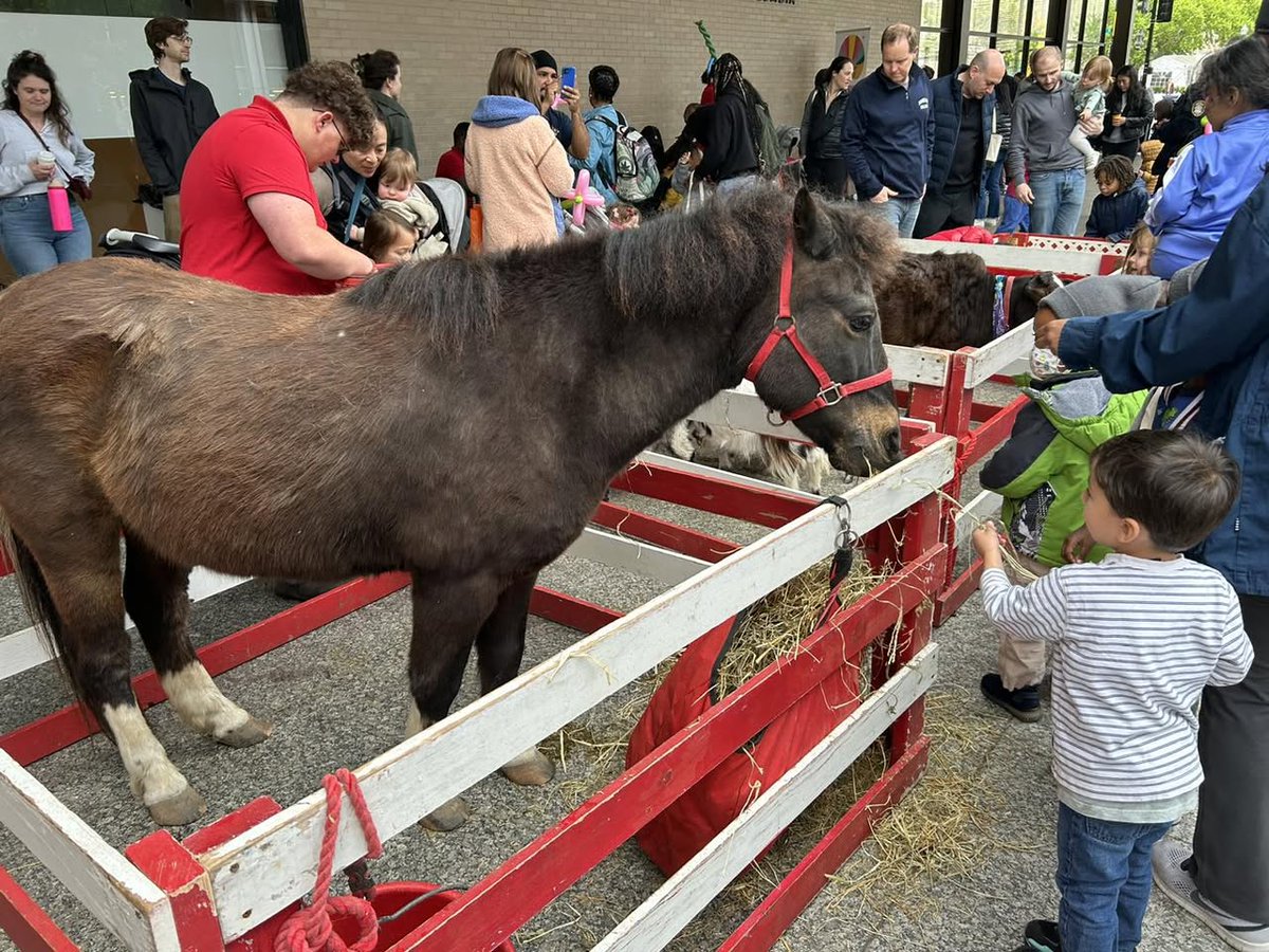 dcpl's tweet image. ⭐ STAR Fest 2026 is almost here! Celebrate all things singing, talking, and reading with your family—and don’t miss one of the most fun-filled days at the MLK Library. Be there or hear about it later  👀

📅 April 25 | 11 a.m. – 2 p.m.
Learn more: bit.ly/41evNSX