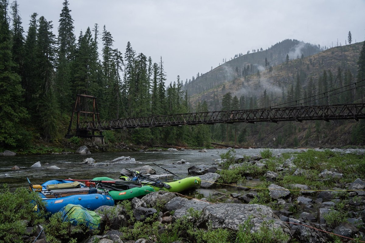 The TRCP tweet media