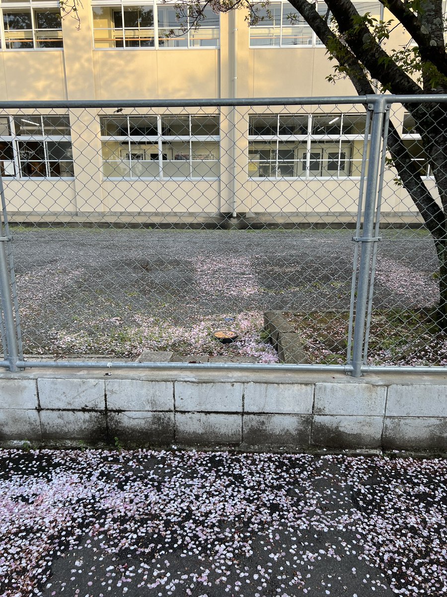 抖喵酱 咕咕咕～ tweet media