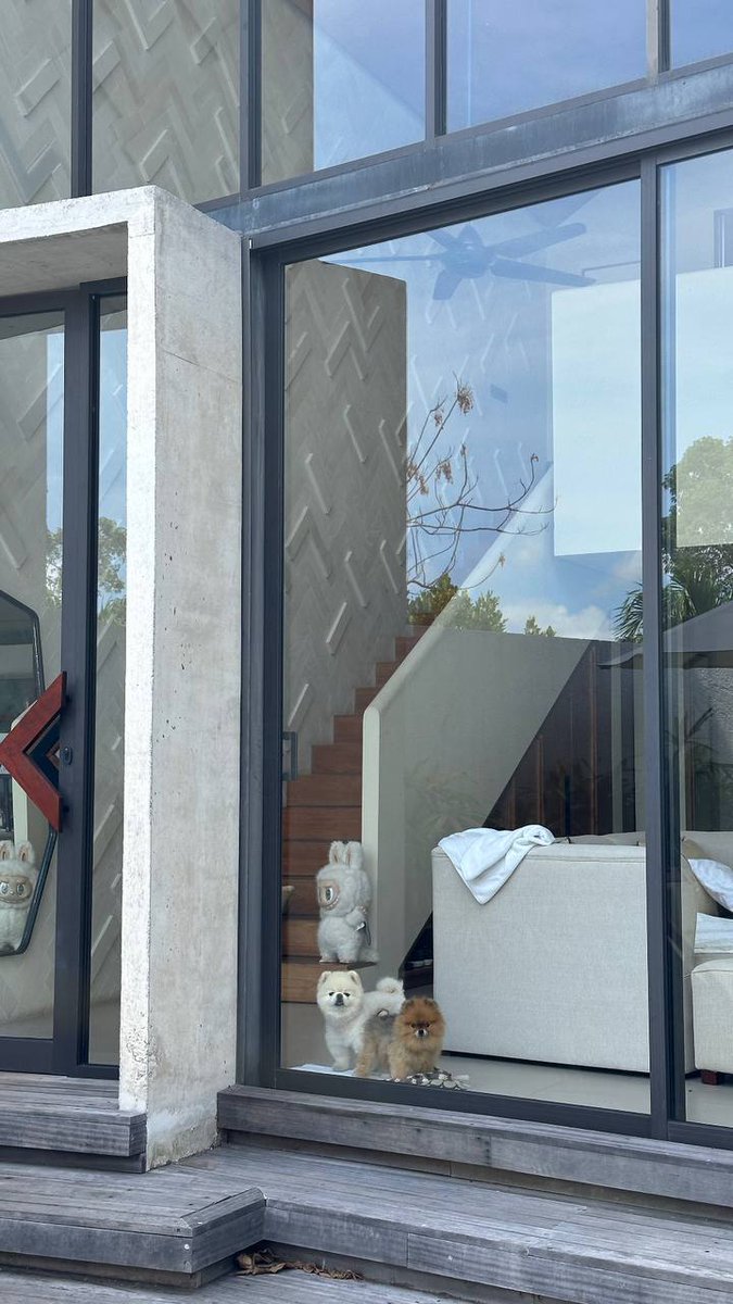 Nadya Basinger tweet media