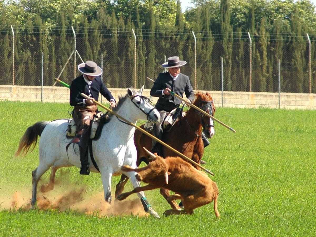 Gente de Teocal tweet media