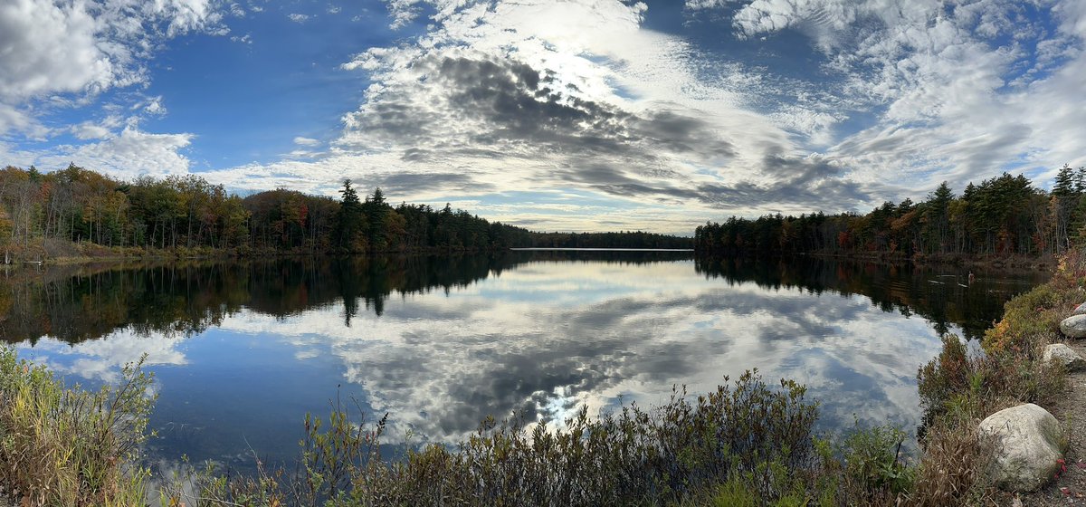 Randy Miller (Realtor) tweet media