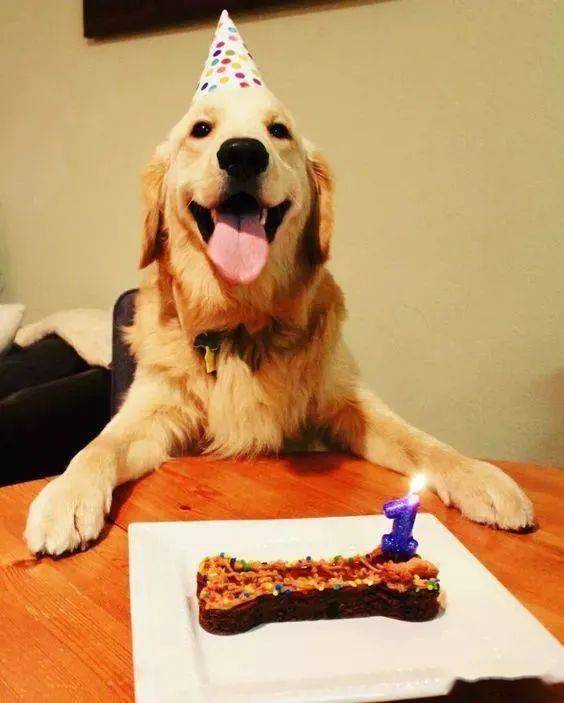 Loard Baron tweet media