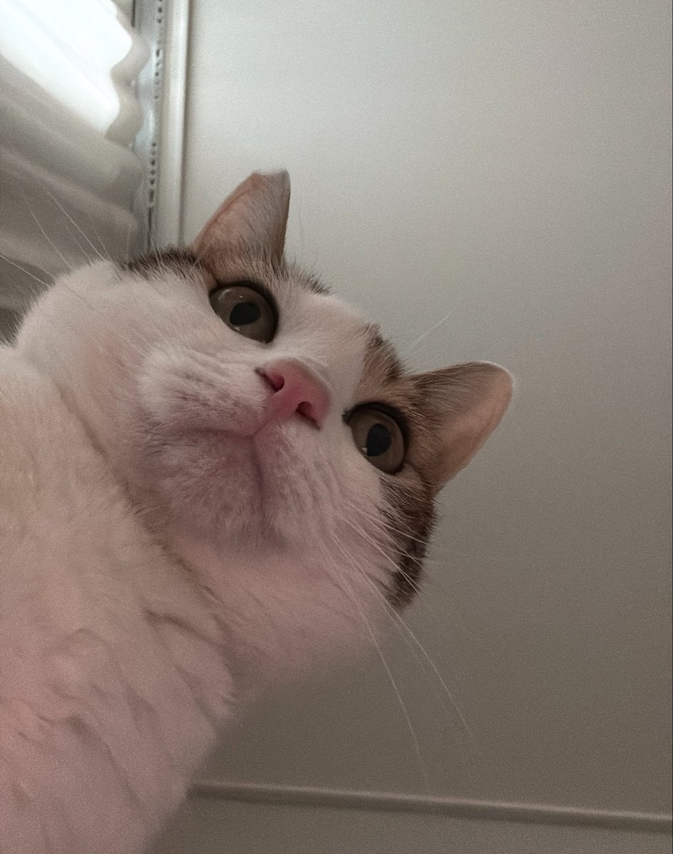 수목이 tweet media