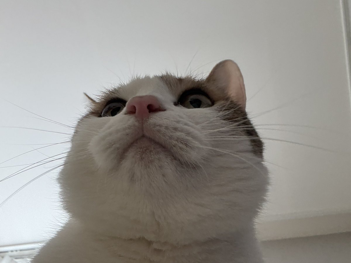 수목이 tweet media