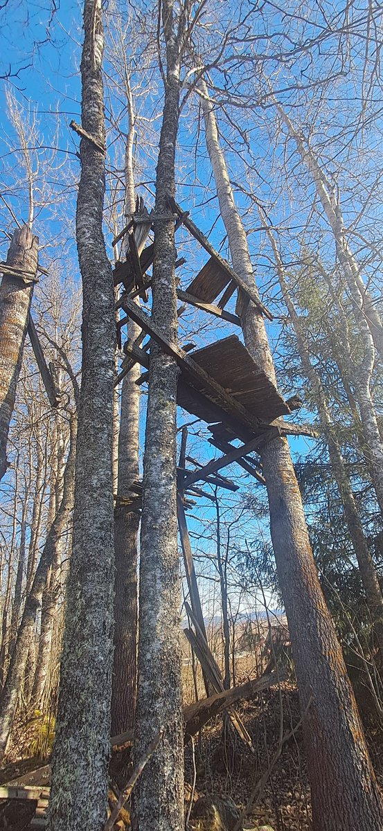 this is where im posting from