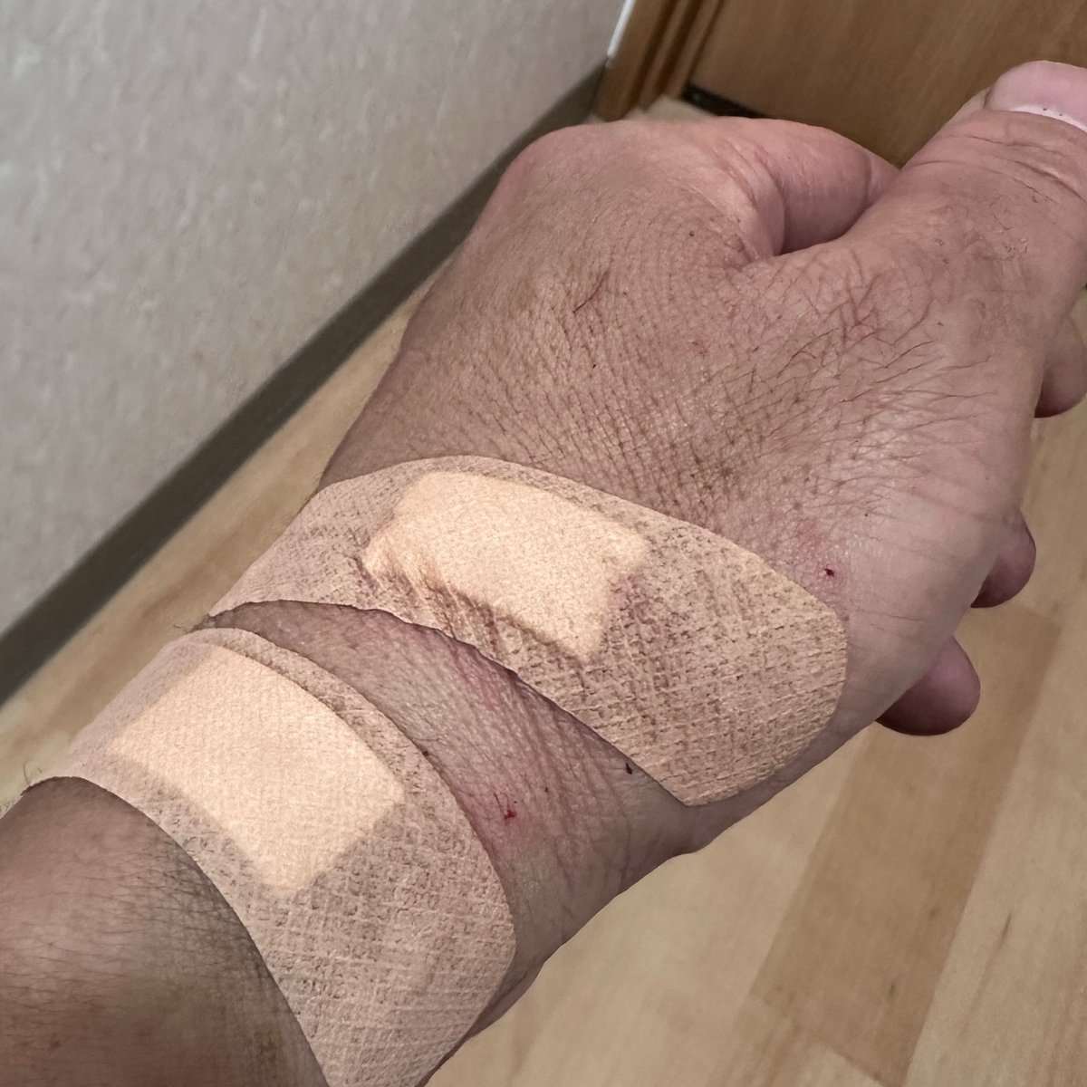 あっ君 tweet media