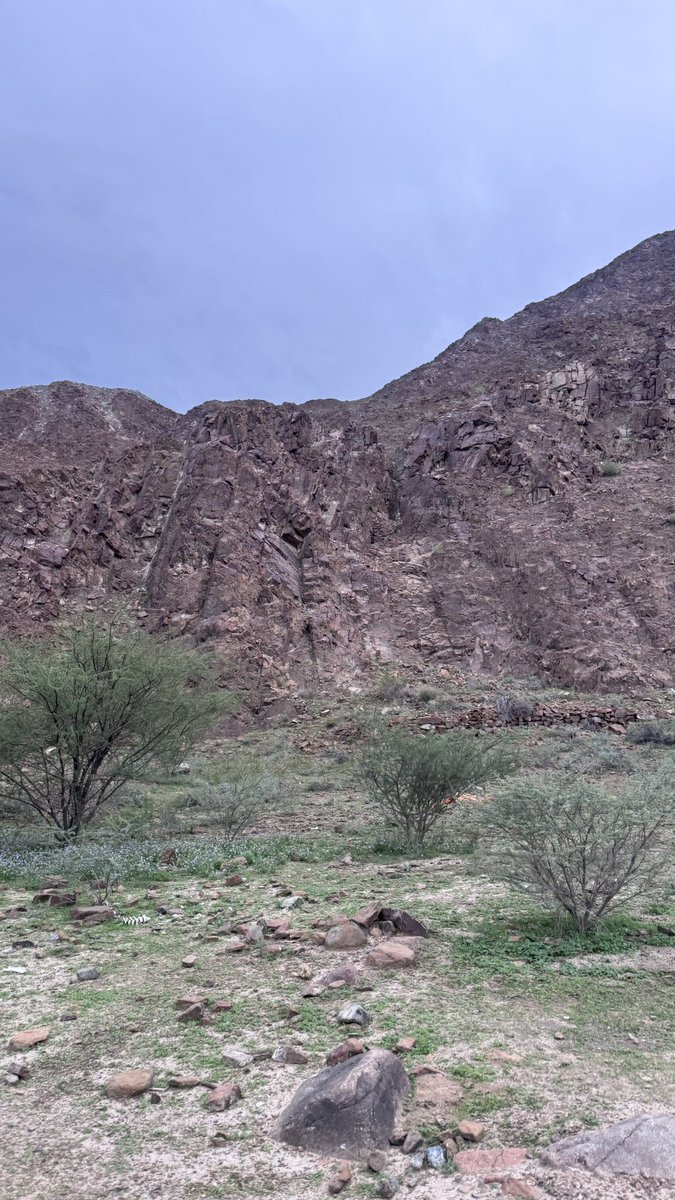 اسـمـاء🦋 tweet media