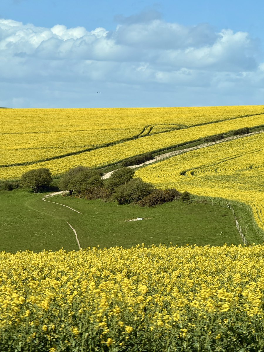 Pauline P. Narvas tweet media