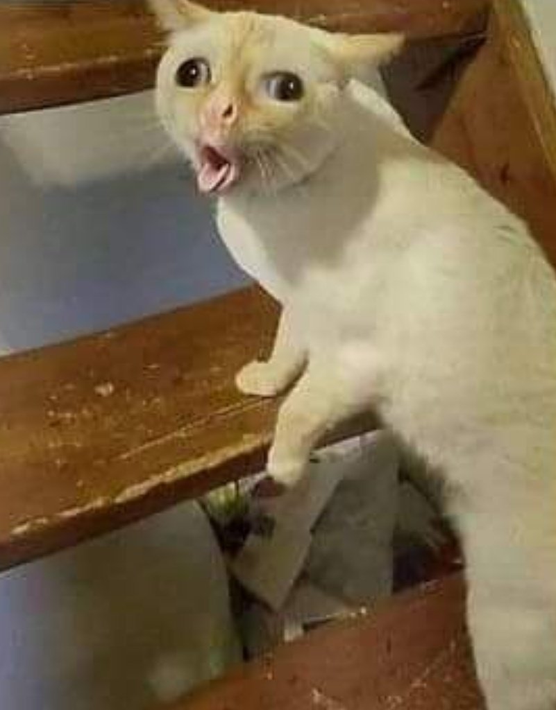 S. Driver ✌️ tweet media