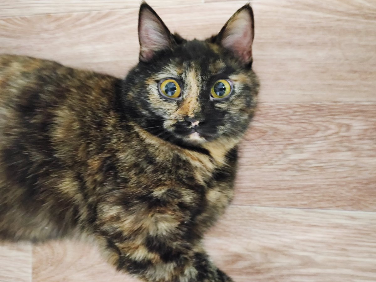 g̵l̸̵o̷̸b̷̴g̴l̸o̸g̸a̶b̴̶g̵a̵҈l̴a̴̶b̷ tweet media