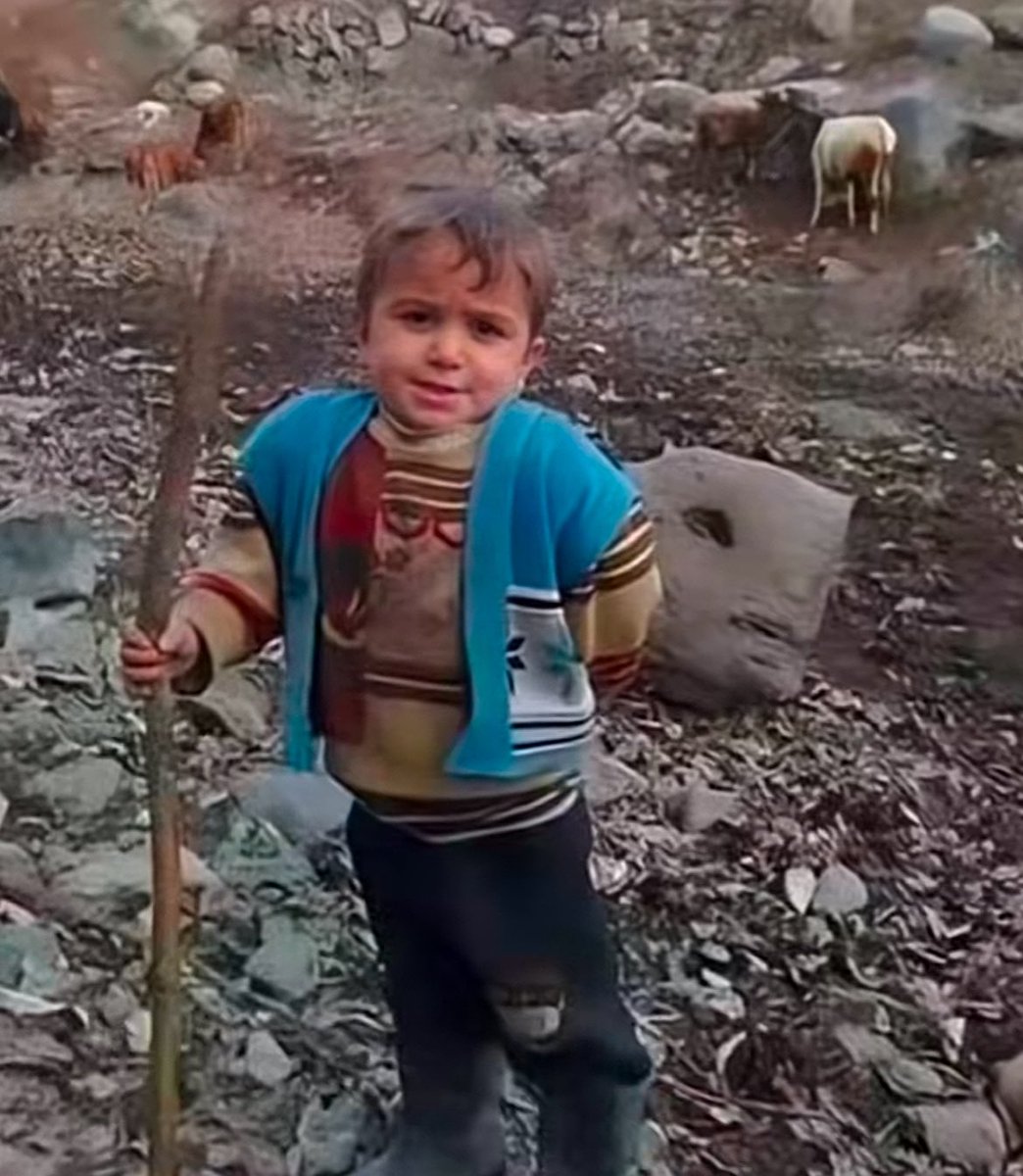 begumꨄ⊹ ˚🦢⋆｡˚༄ tweet media