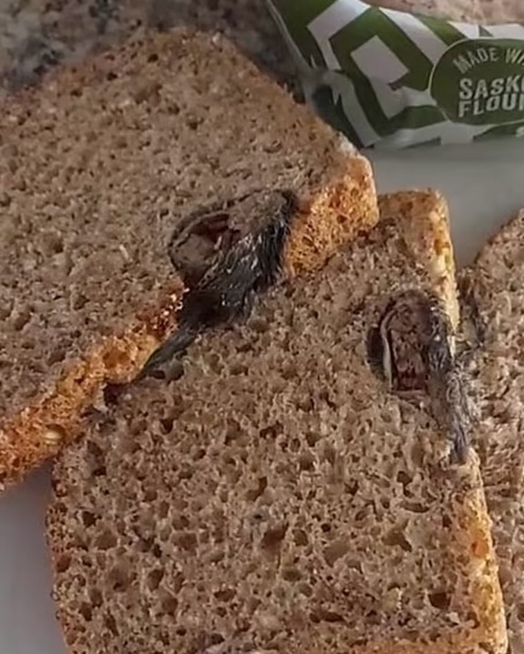 Ir. IPGSPR tweet media