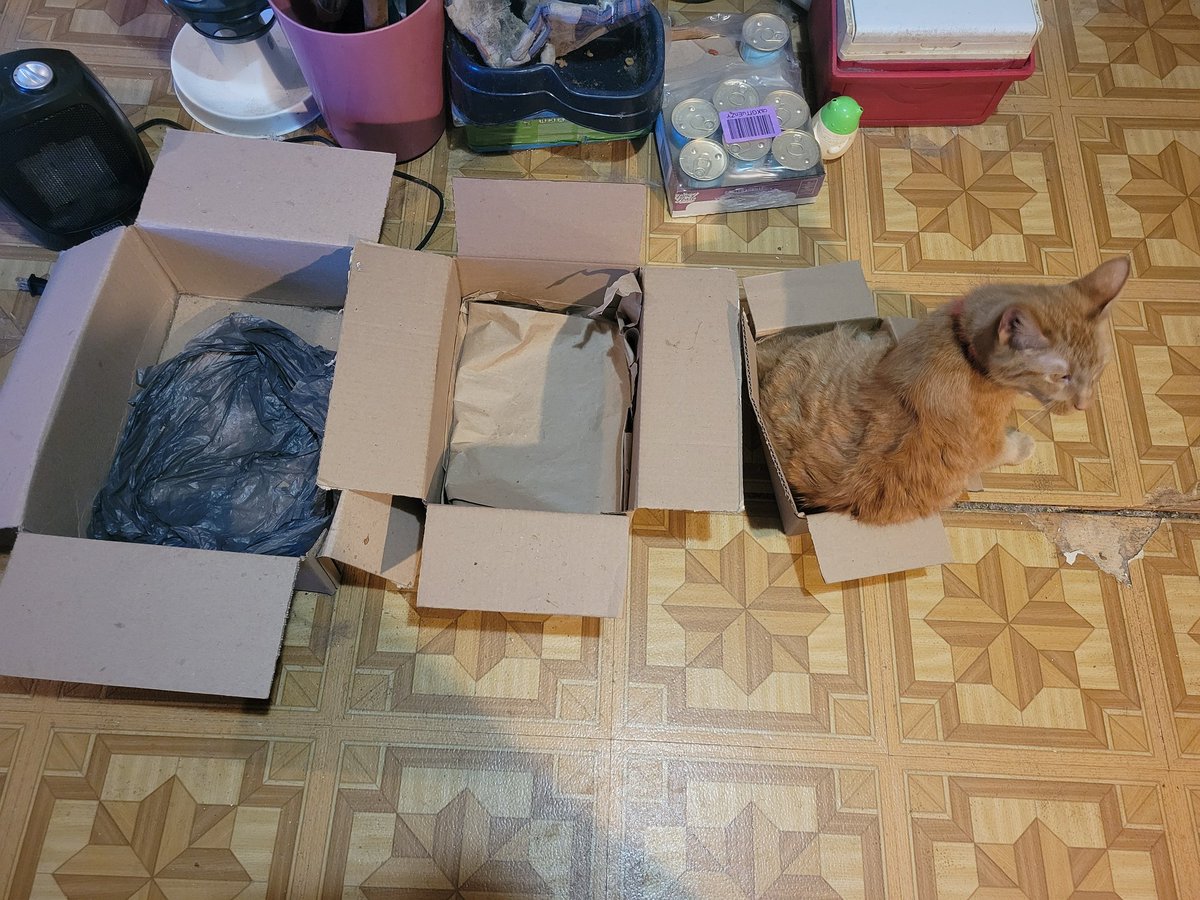 Sher 💙💪🌊 Don't call me Shirley 😷 tweet media