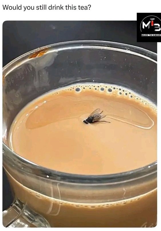 Mehla ✨ tweet media