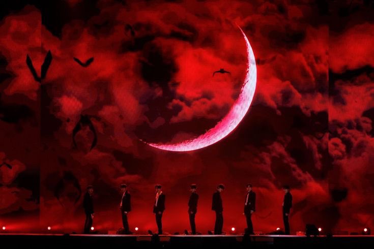 dusia 🪽 en-⁷ tweet media