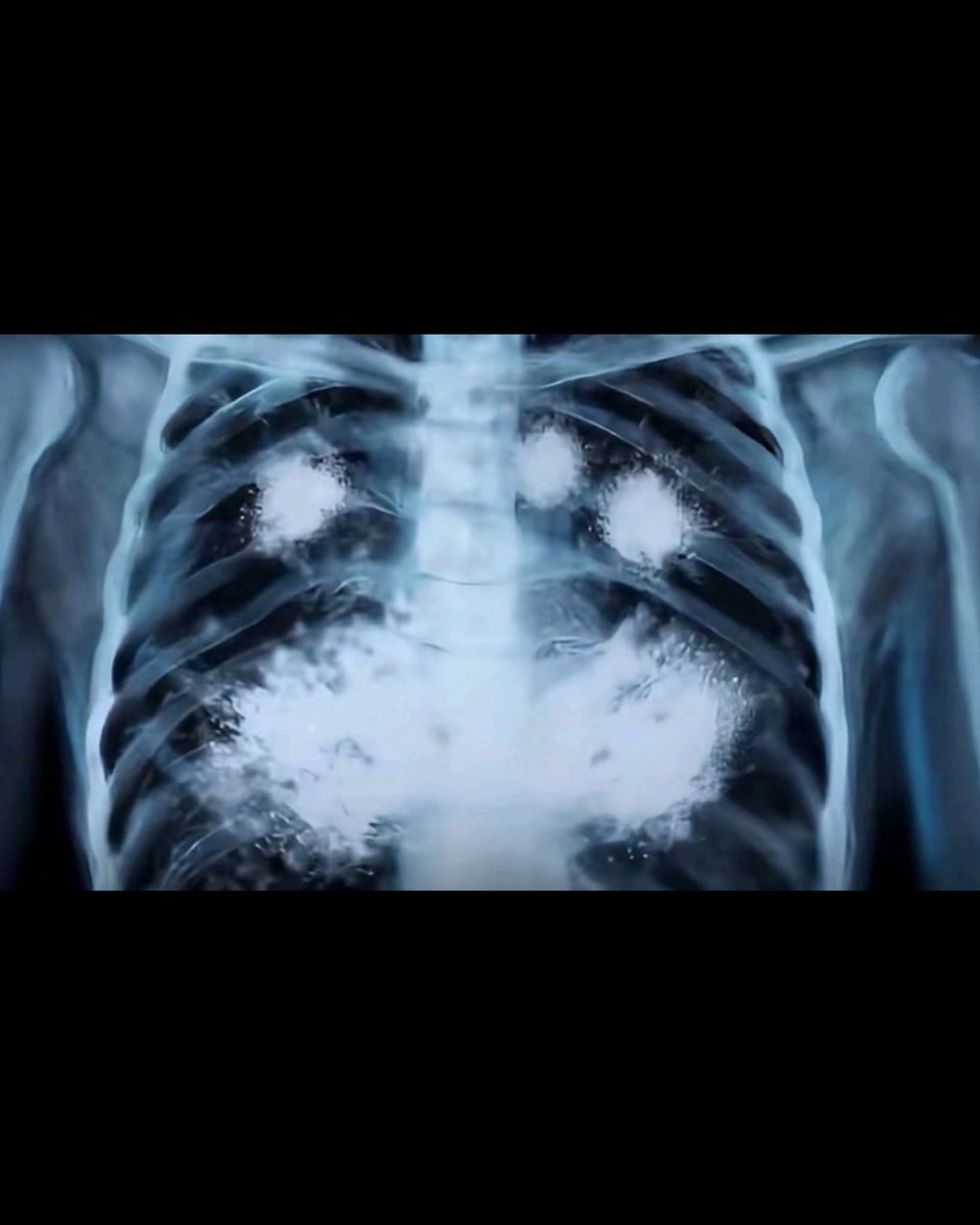 sosmed keras tweet media