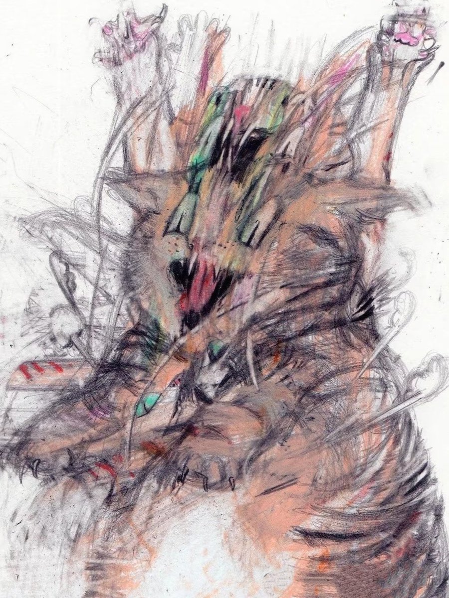 梦里有你 tweet media