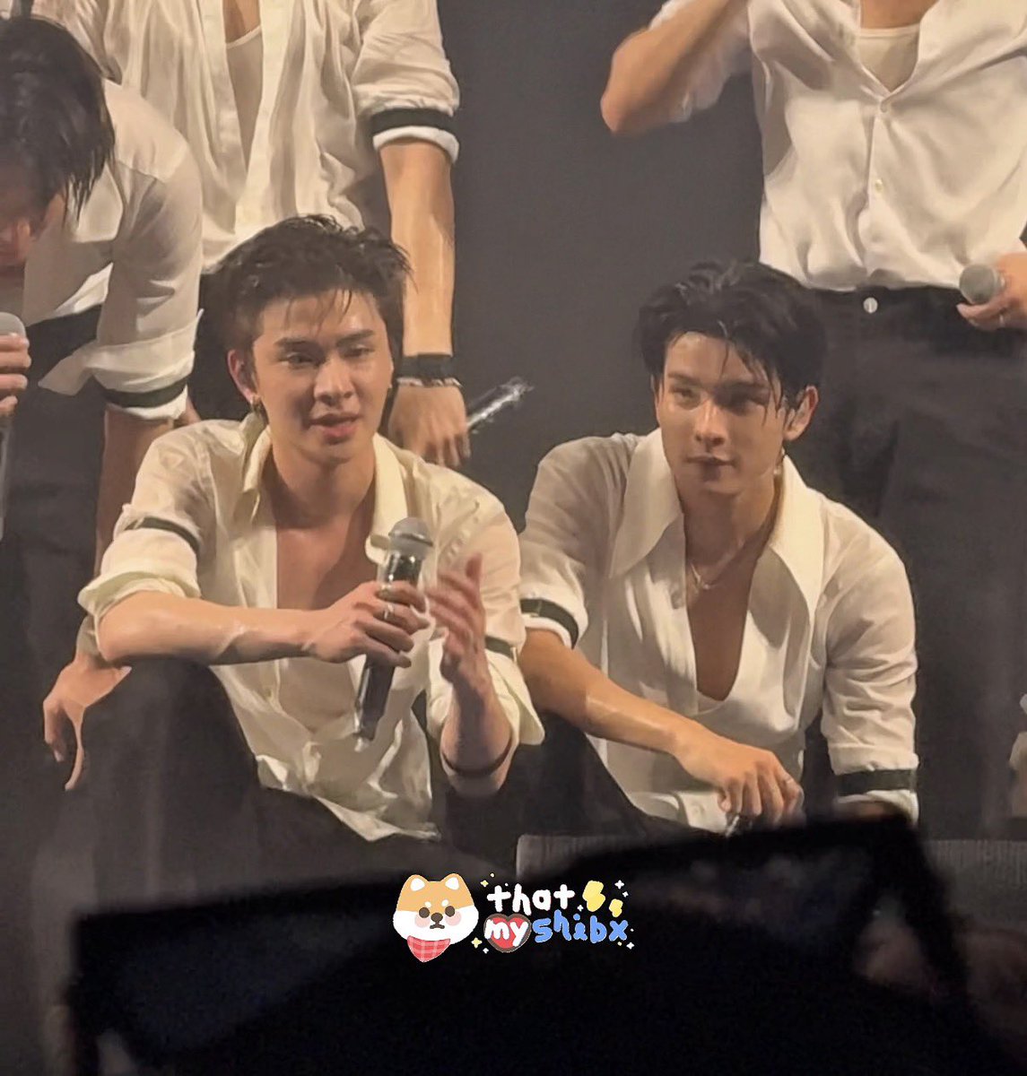 shibeaut ૮ • ﻌ - ა tweet media