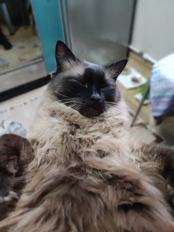 Денис tweet media