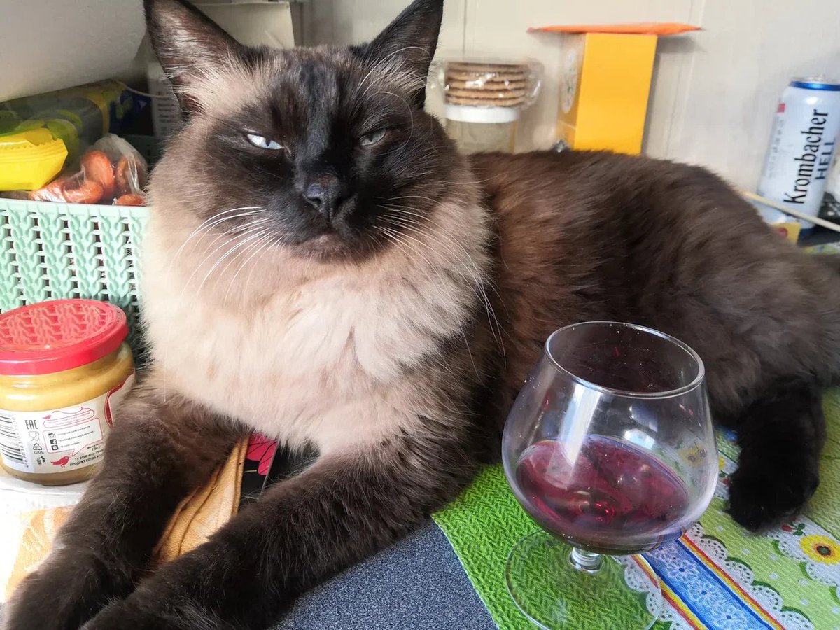 Денис tweet media