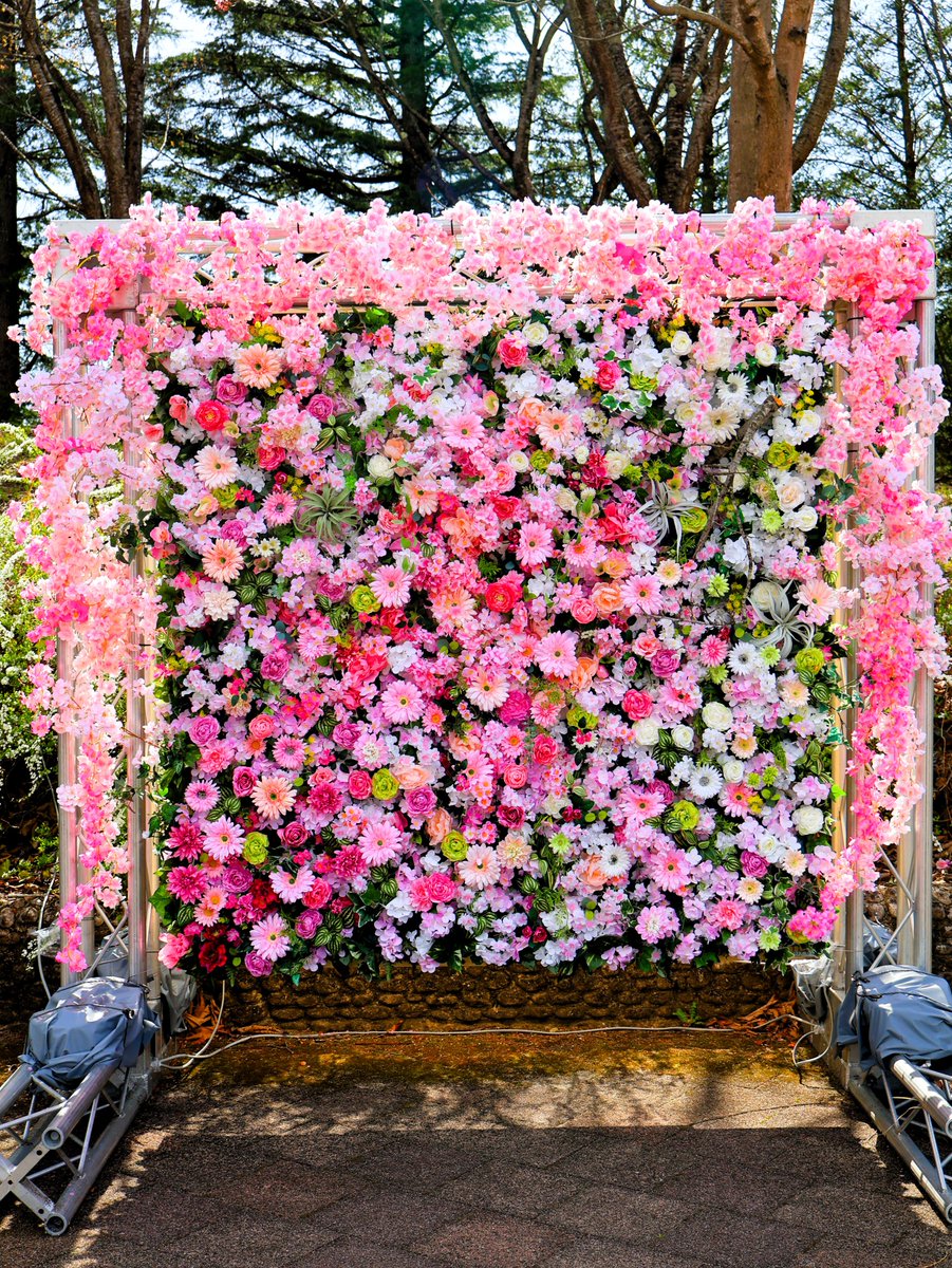 ずんだ太郎 tweet media