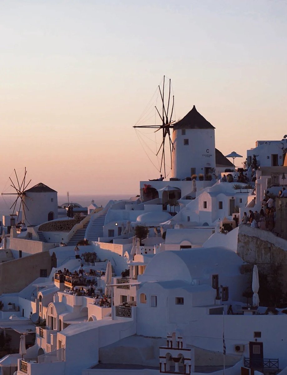 Lisa MacNamara tweet media