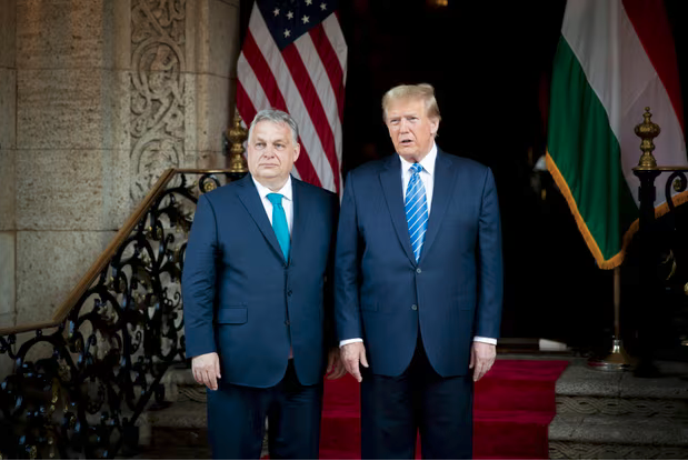 Jon Thomas tweet media