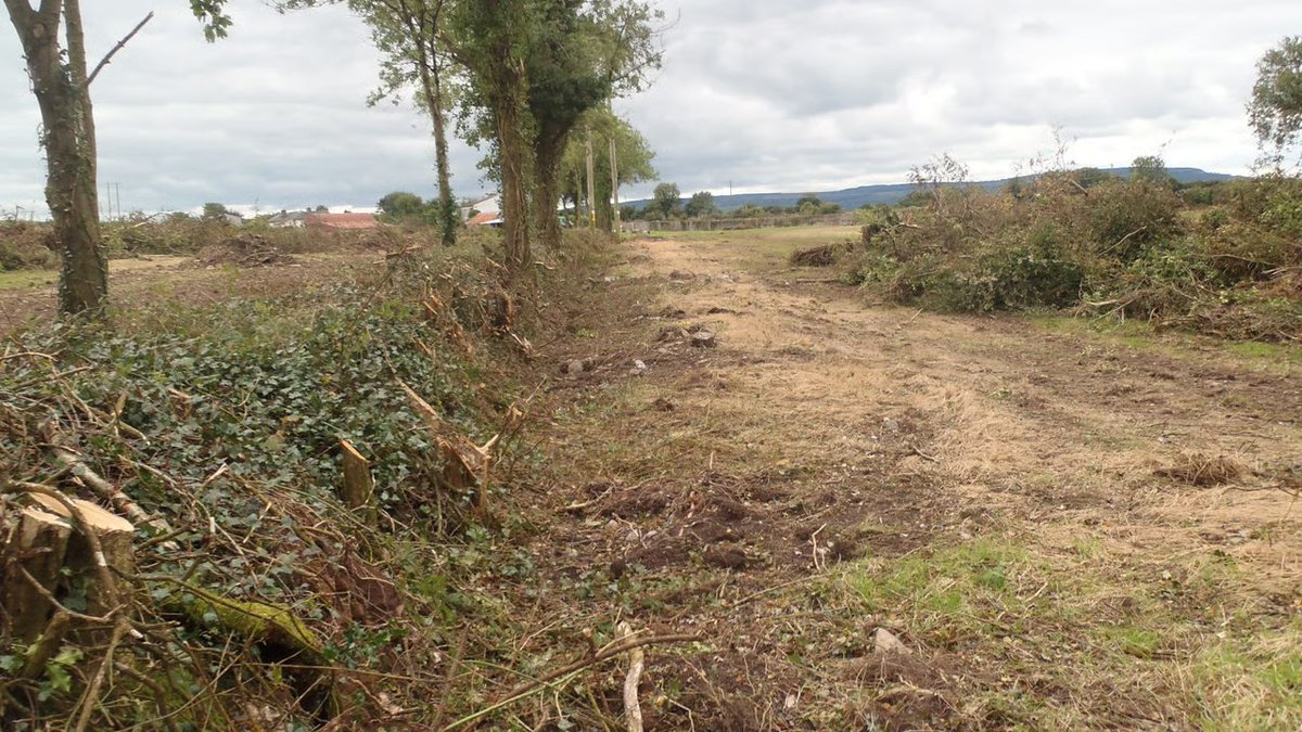 GO GREEN tweet media