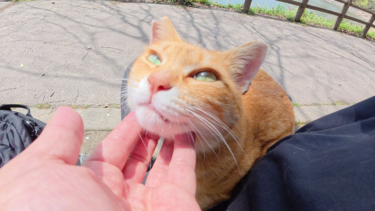 Philips m. Edeh tweet media