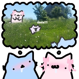 no context nub tweet media