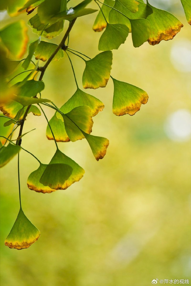 eieieieieiei tweet media