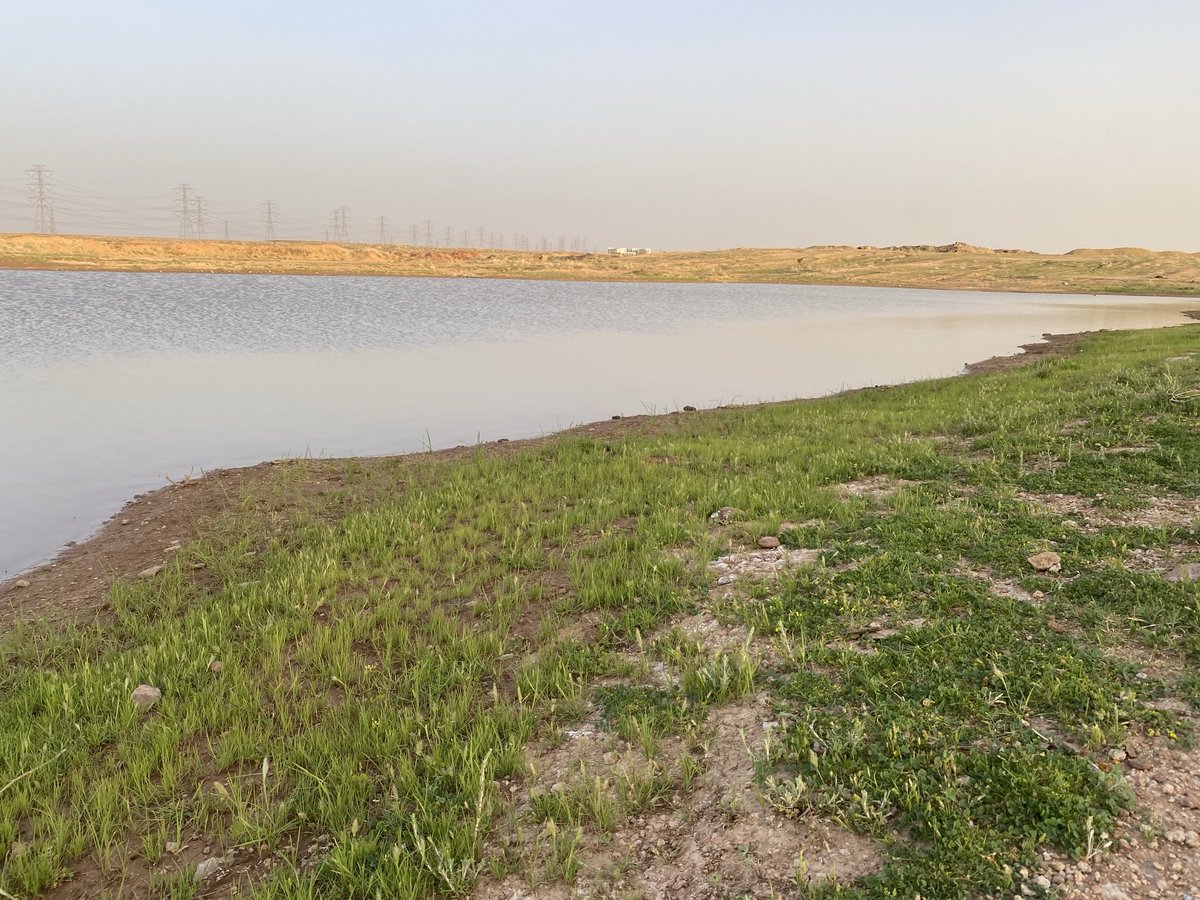 عبدالعزيز الدويغري tweet media