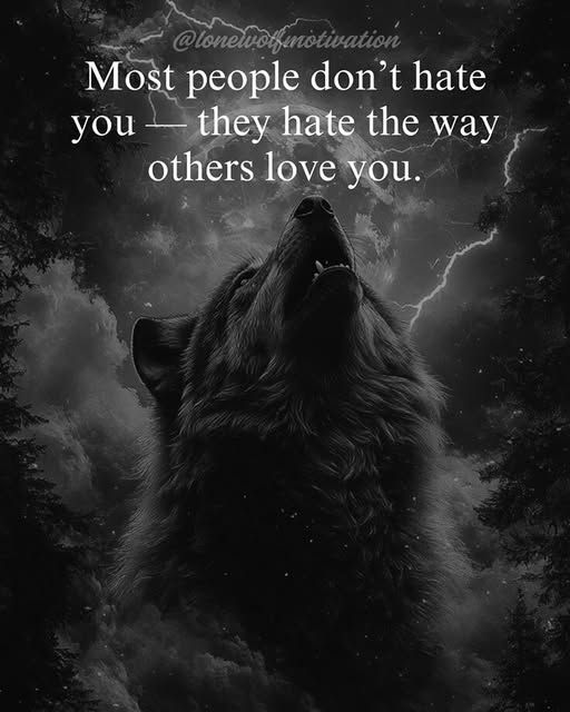 Luna's Eyes On The World 🪶 tweet media