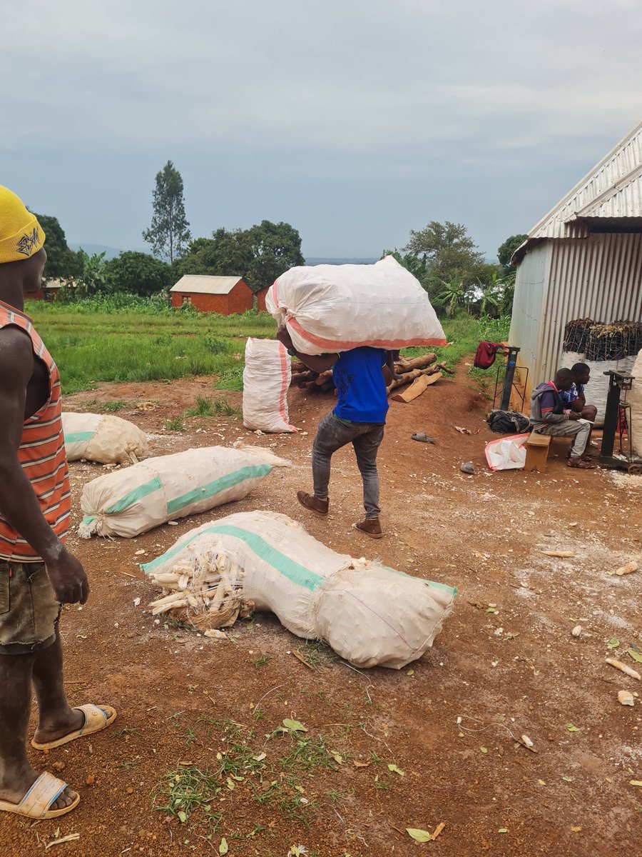 Thomas-Josephat tweet media