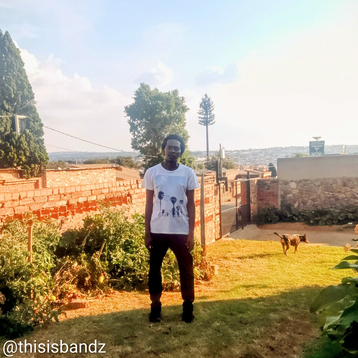 thisisBandz's tweet photo. Somewhere between "I want it." and "I got it." 🪐💜🌄
-
#creative #art #audioengineer #producer #linkinbio https://t.co/qZpfUi9dfy