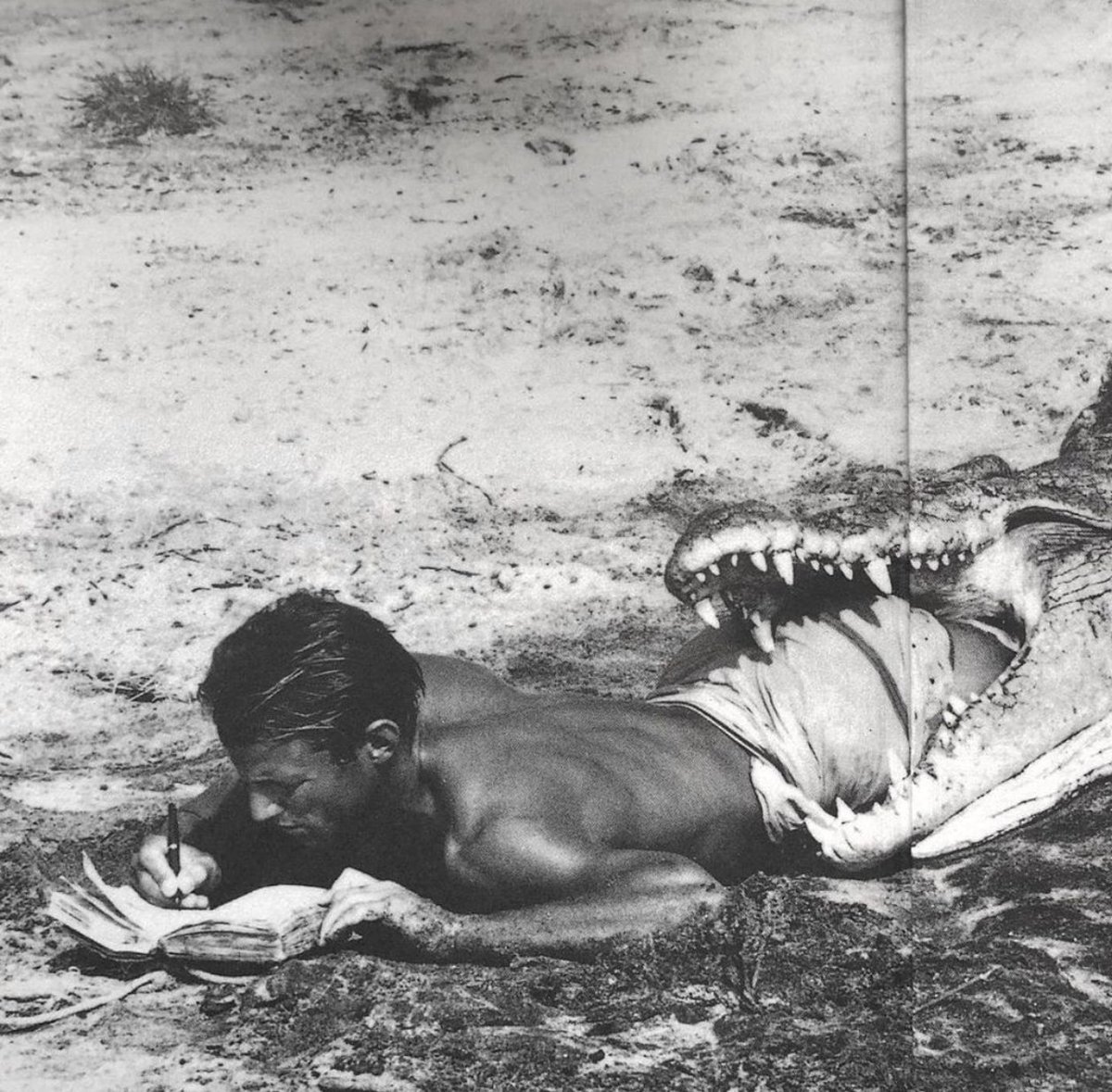 Apostrophe tweet media