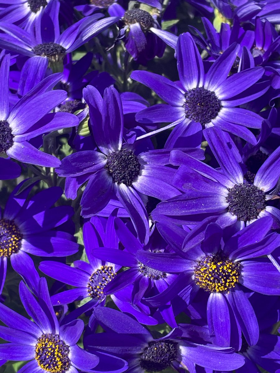 Zack 𓂀 tweet media