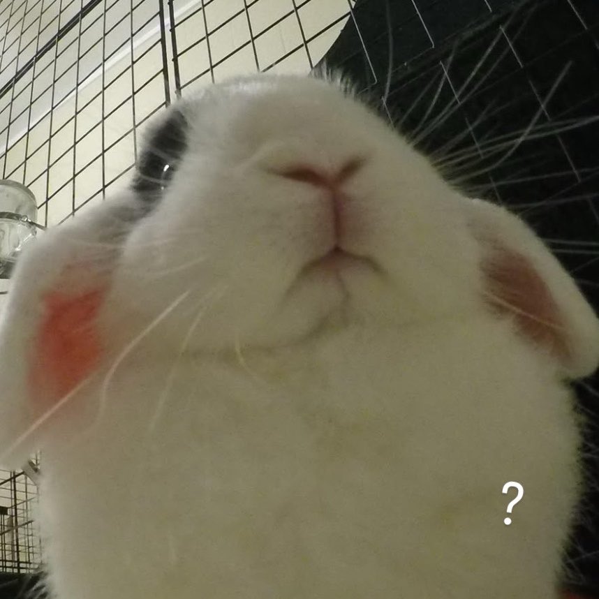 mafia boss jungkook tweet media