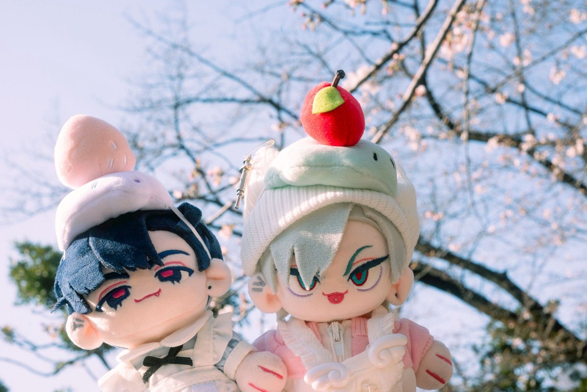 🦊📷🧸 tweet media