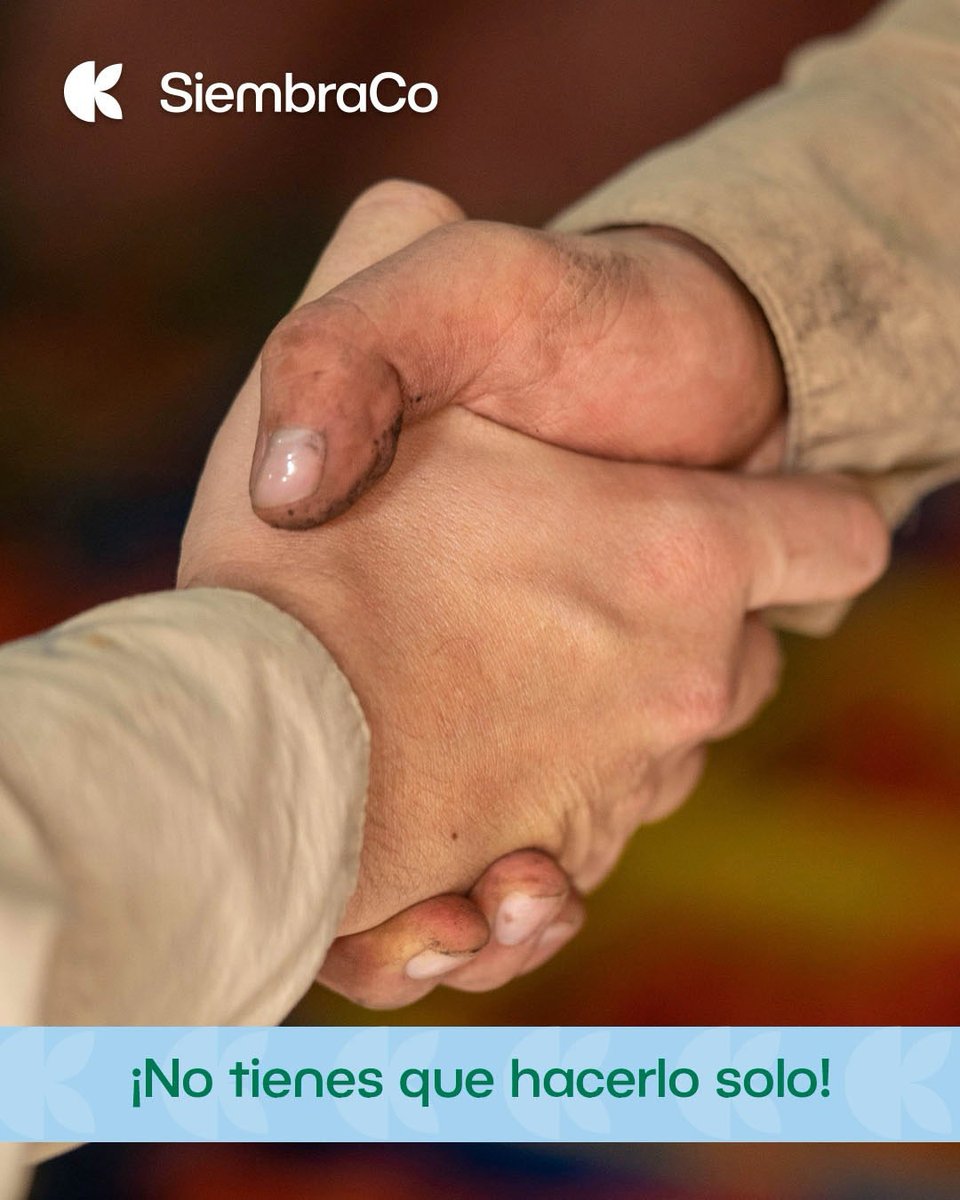 SiembraCo tweet media