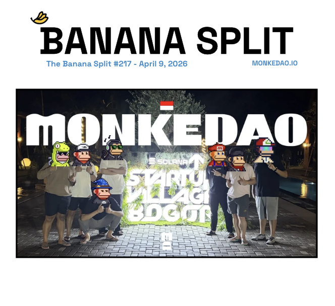 MonkeDAO🍌 tweet media