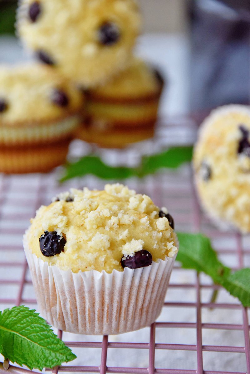 helio de sousa lima tweet media