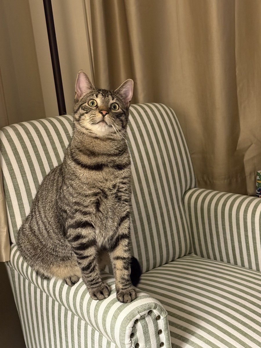 praying mama jz tweet media