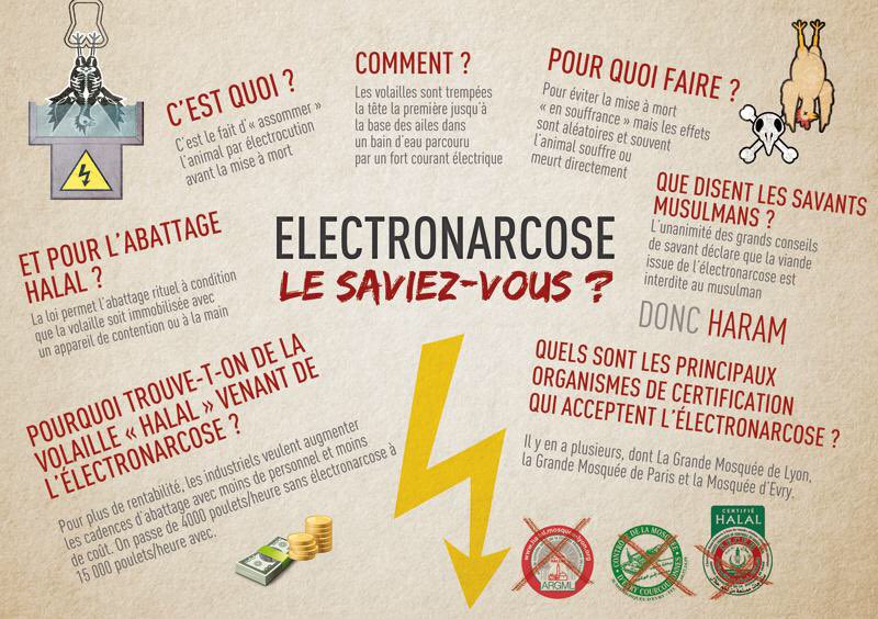 MissingNo. tweet media